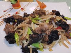 -老毛手抓·盐池滩羊非遗手抓(宁夏总店)
