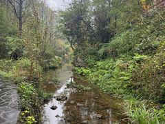 -夏霖九天银瀑风景区
