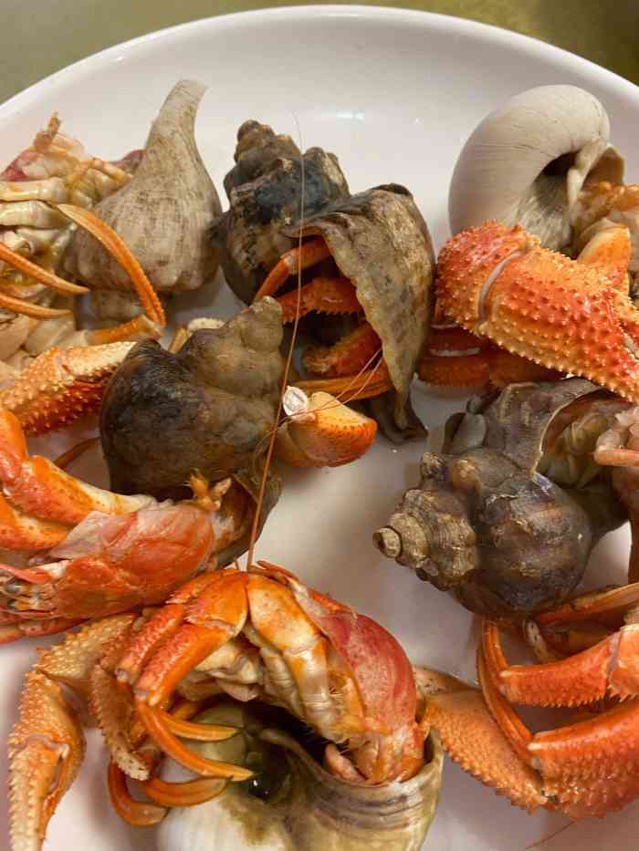 小平岛海鲜舫(凌水桥店)-"典型的北方海鲜小店,海鲜都很新鲜,大部分.