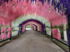 -沈阳鸟岛