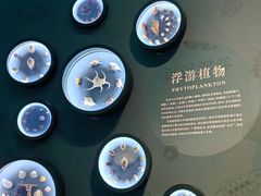 -中国湿地博物馆