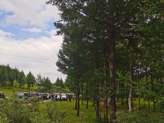 -御道口草原森林风景区