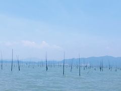 -北岐滩涂