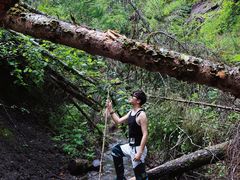 -峡谷浮石林景区