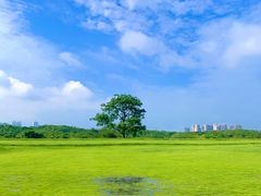 -盘龙城国家考古遗址公园