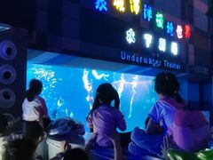 -泉城欧乐堡海洋极地世界