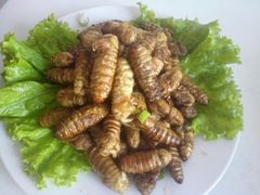 -华龙特色大骨鸡农家菜馆