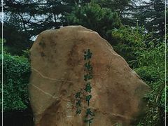 -西苑公园