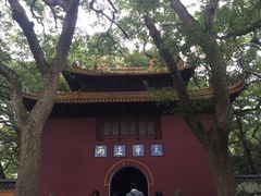 -普陀山风景名胜区-法雨禅寺