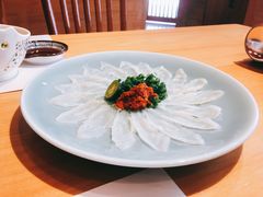 河鲀鱼菊盛薄切-天正河鲀·河豚亭(大连店)