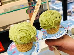 -野人先生现做冰淇淋(西安赛格店)
