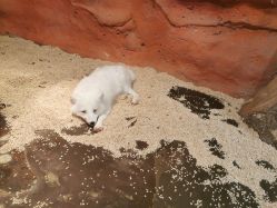 -Zoolung Zoolung动物主题公园(海信广场店)