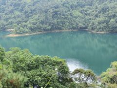 -鼎湖山风景区