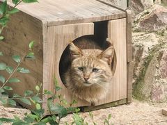 -青藏高原野生动物园