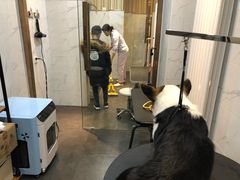 -宠爱国际动物医院·消化内科·心肾内科·ISFM猫友好(望京店)