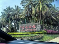 -呀诺达热带雨林