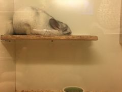 -龙猫仔乐园(惠福东路店)