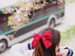 -上海南浦大桥长途旅游客运站