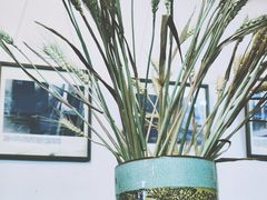 -三味书屋(复兴门内大街店)