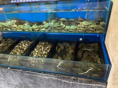 -海玥荟海鲜姿造自助餐厅(欧罗巴广场店)