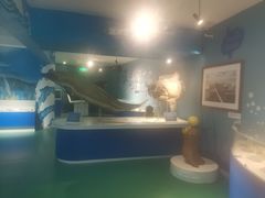 -烟台海昌鲸鲨海洋公园