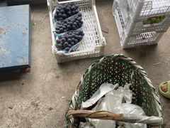 -马陆小张葡萄园农家乐