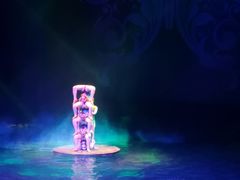 -水秀国际大剧院