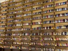 -深影国际影城(学院南路店CGS中国巨幕店)