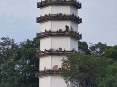 -永安龟山公园