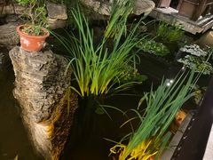 -聚缘堂·海鲜私房菜(松岭路店)
