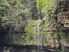 -鹿院坪生态旅游景区