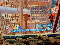 -PIPIKINGDOM皮皮王国欢乐号(欢乐海岸购物中心店)