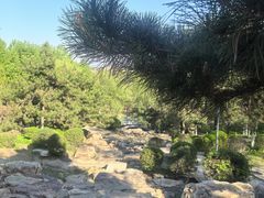 -莫子山公园