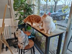 -平行世界·猫咖(首经贸店)