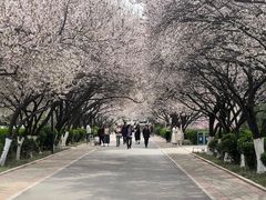 -山东师范大学(千佛山校区)