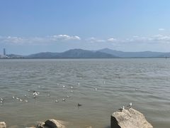 -深圳湾公园(南山区)