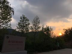 -鲁山国家森林公园