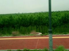 -明月麻辣香锅(昌黎县东大市场店)