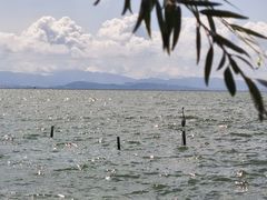 -滇池海埂公园