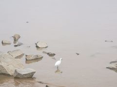 -深圳湾公园(南山区)