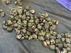 -东戴河风景区-止锚湾