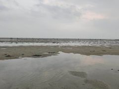 -北海金海湾红树林生态旅游区