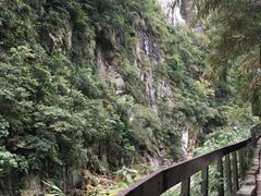 -太鲁阁公园