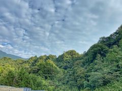 -中国大熊猫保护研究中心雅安碧峰峡基地