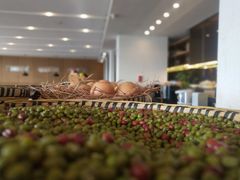 -昆明春城湖畔度假村