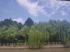 -运河游船(武林门码头)