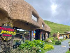 -仰天湖大草原