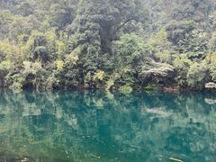 -鼎湖山风景区
