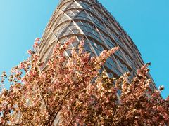 入口（标志性建筑）-北外滩滨江绿地