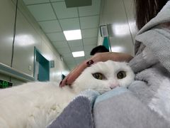 -北京观赏动物医院·24小时大型综合·猫专科·异宠专科